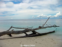 This shot was taken on an island at Raja Ampat while we d... by Sinan Oztan 
